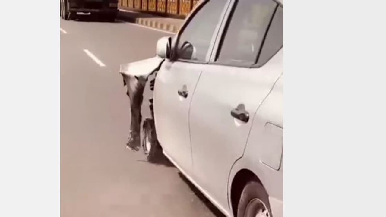 അതിവേഗം ബഹുദൂരം 'പ്രോ റൈഡർ, 23 കിലോമീറ്റർ തട്ടിമുട്ടി 11 പേർ ആശുപത്രിയിൽ; ചേർത്തല വരെ ചീറിപ്പാഞ്ഞത് 3 ടയറിൽ