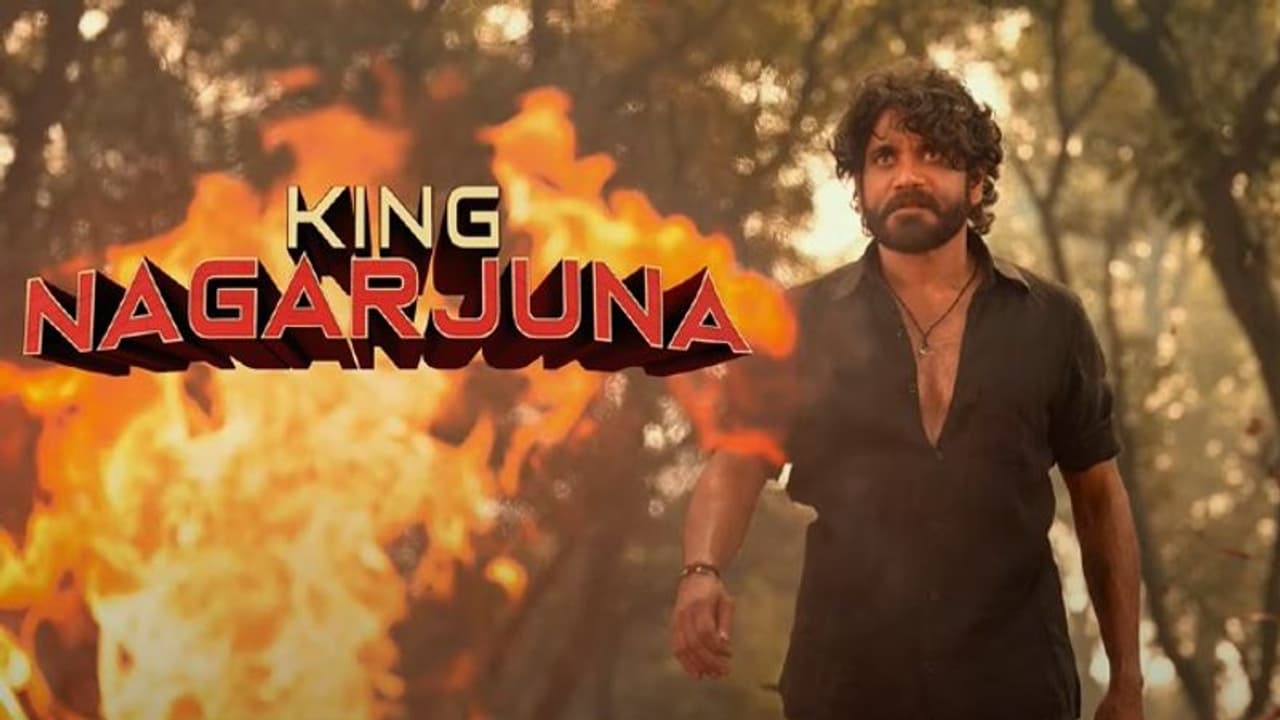 నా సామిరంగ.. కింగ్ నాగార్జున ఊచకోత, టీజర్ అదిరిందిగా నా సామిరంగ.. కింగ్ నాగార్జున ఊచకోత, టీజర్ అదిరిందిగా
