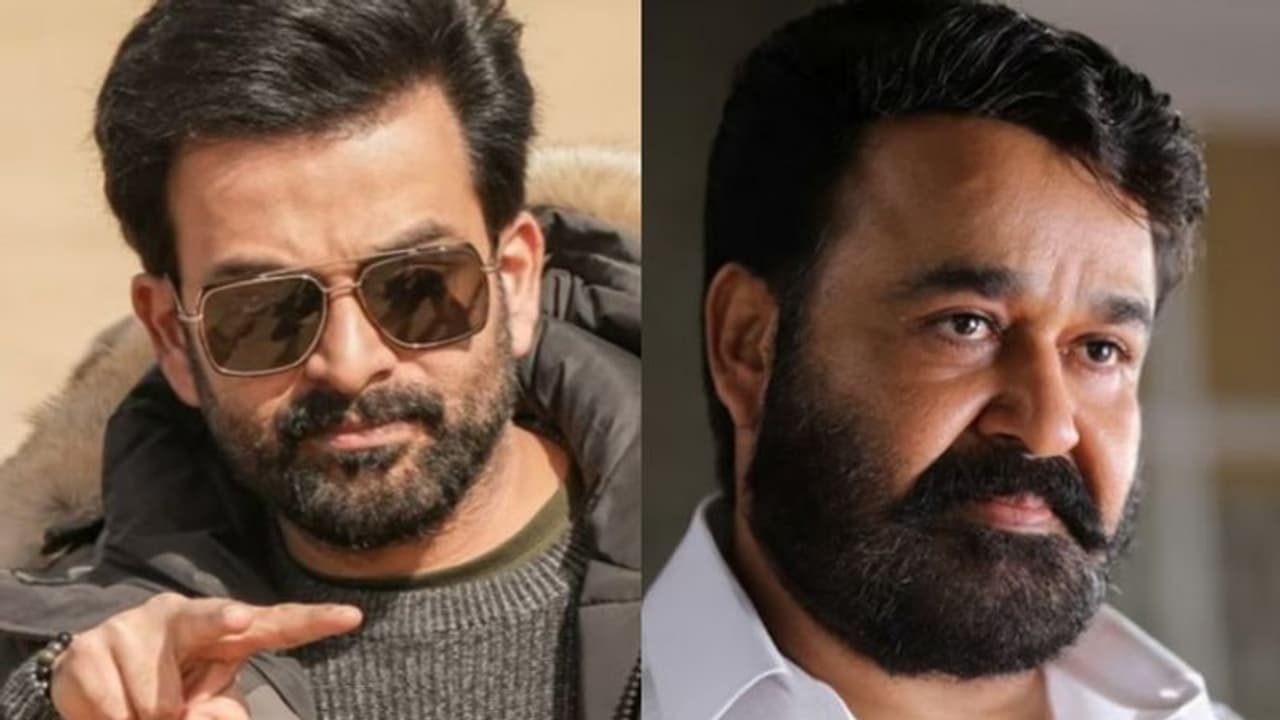 'അടികൂടാനാകില്ല', എമ്പുരാനിലെ സയിദിന്റെ അവസ്ഥയെ കുറിച്ച് പൃഥ്വിരാജ്