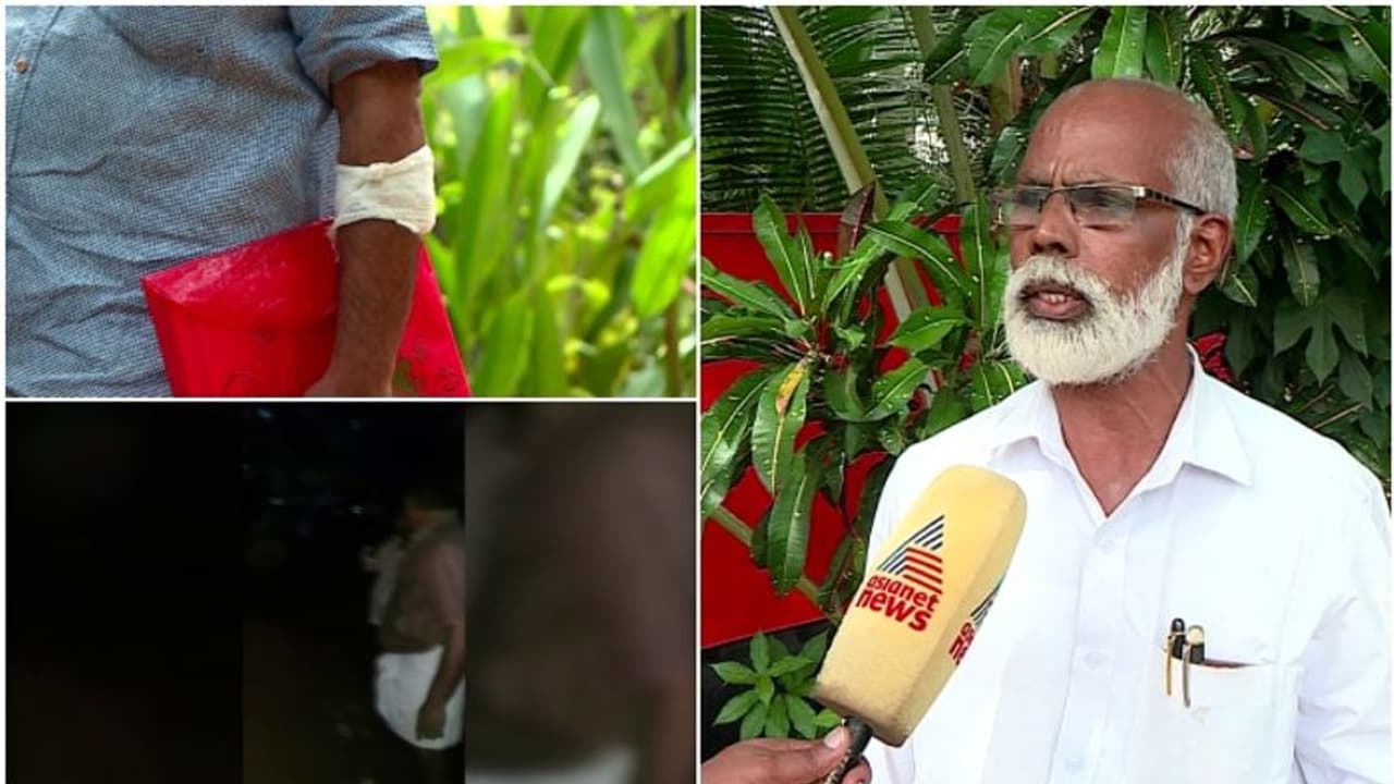 സ്വകാര്യവ്യക്തിയുടെ ഭൂമിയില് സിപിഎം നേതാക്കളുടെ അതിക്രമമെന്ന് പരാതി, ഗൃഹനാഥനും സഹോദരനും വെട്ടേറ്റു സ്വകാര്യവ്യക്തിയുടെ ഭൂമിയില് സിപിഎം നേതാക്കളുടെ അതിക്രമമെന്ന് പരാതി, ഗൃഹനാഥനും സഹോദരനും വെട്ടേറ്റു