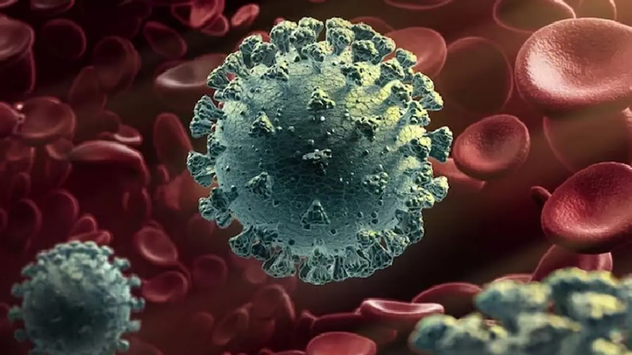 Explained: Is rising COVID cases in Kerala a cause of concern? Explained: Is rising COVID cases in Kerala a cause of concern?