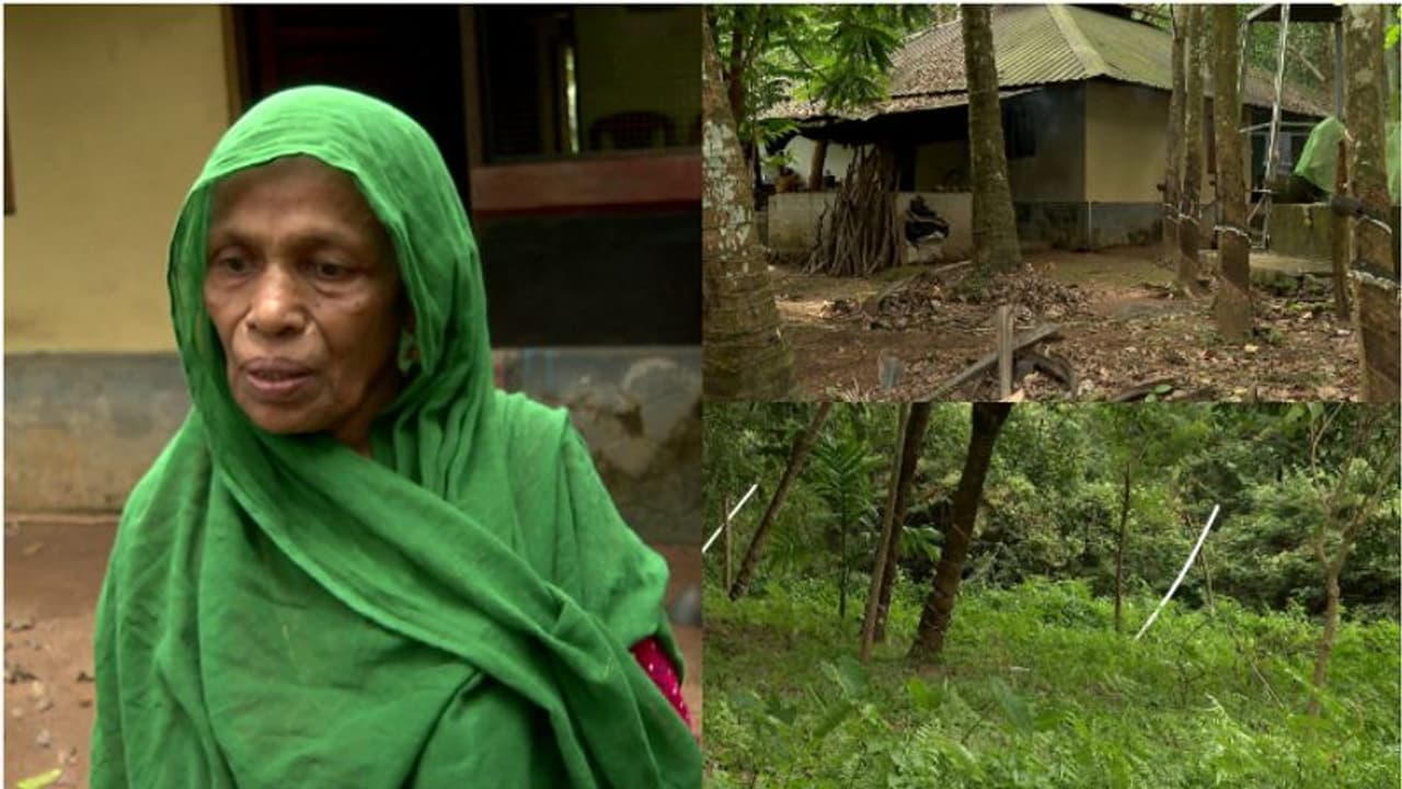 'ജീവിക്കാനുള്ളതൊക്കെ കിട്ടിയിരുന്ന പുരയിടം, ഇന്ന് ആന കുത്തിമറിക്കാത്ത മരങ്ങളില്ലിവിടെ'; വീടുവിട്ട് പാത്തുമ്മ