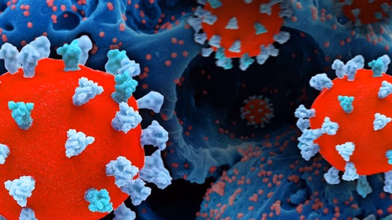 ಬಾಗಲಕೋಟೆ: ಕೋವಿಡ್ 19 ರೂಪಾಂತರಿ ಬಗ್ಗೆ ಆತಂಕ ಬೇಡ, ಡಿಸಿ ಜಾನಕಿ