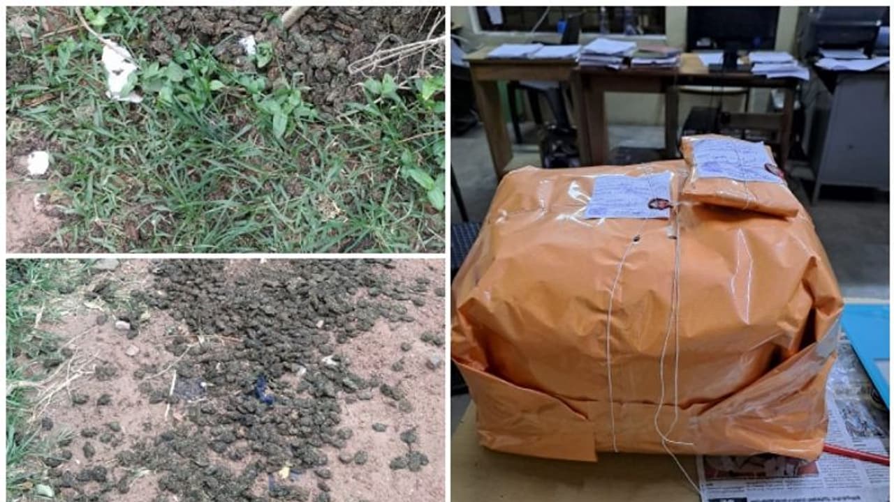 2 ലക്ഷം രൂപ വിലമതിക്കുന്ന കഞ്ചാവ് റോഡരികിൽ വാരി വിതറിയ നിലയിൽ; സംഭവത്തിൽ അന്വേഷണം തുടങ്ങി എക്സൈസ് 