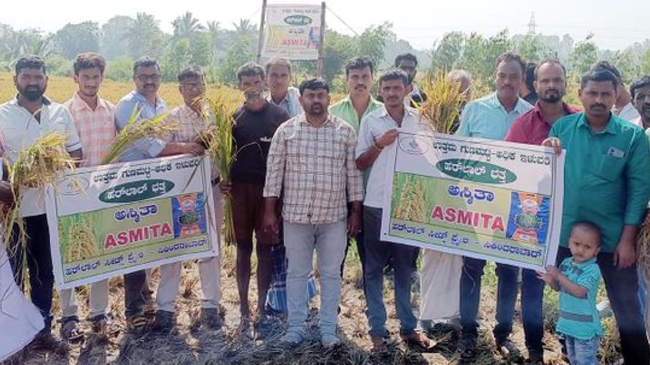 ಭತ್ತದ ಬೆಳೆಗೆ ತಜ್ಞರು ಶಿಫಾರಸು ಮಾಡಿದ ಔಷಧಿ, ಗೊಬ್ಬರ ಬಳಸಿದರೆ ಮಾತ್ರ ಉತ್ತಮ ಇಳುವರಿ ಭತ್ತದ ಬೆಳೆಗೆ ತಜ್ಞರು ಶಿಫಾರಸು ಮಾಡಿದ ಔಷಧಿ, ಗೊಬ್ಬರ ಬಳಸಿದರೆ ಮಾತ್ರ ಉತ್ತಮ ಇಳುವರಿ