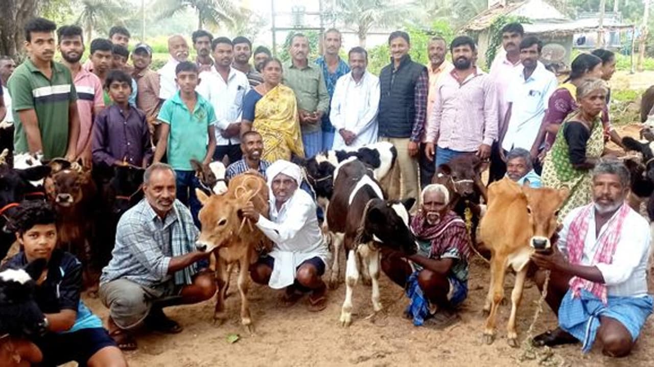  ಸ್ವಾವಲಂಬಿ ಬದುಕಿಗೆ ಮಿಶ್ರ ತಳಿ ಹಸು ಸಾಕಣೆ ಸಹಕಾರಿ : ಪಶುವೈದ್ಯಾಧಿಕಾರಿ ಡಾ. ಹರೀಶ್