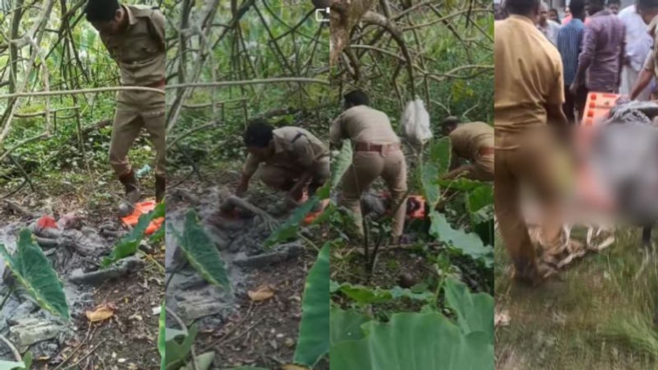 Kerala: 76 year old woman trapped in swamp in Kochi rescued after 4 hours Kerala: 76 year old woman trapped in swamp in Kochi rescued after 4 hours