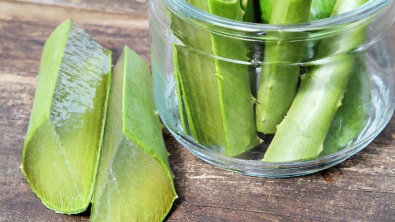 തലമുടി തഴച്ച് വളരാന്‍ കറ്റാർവാഴ ഇങ്ങനെ ഉപയോഗിക്കാം... 