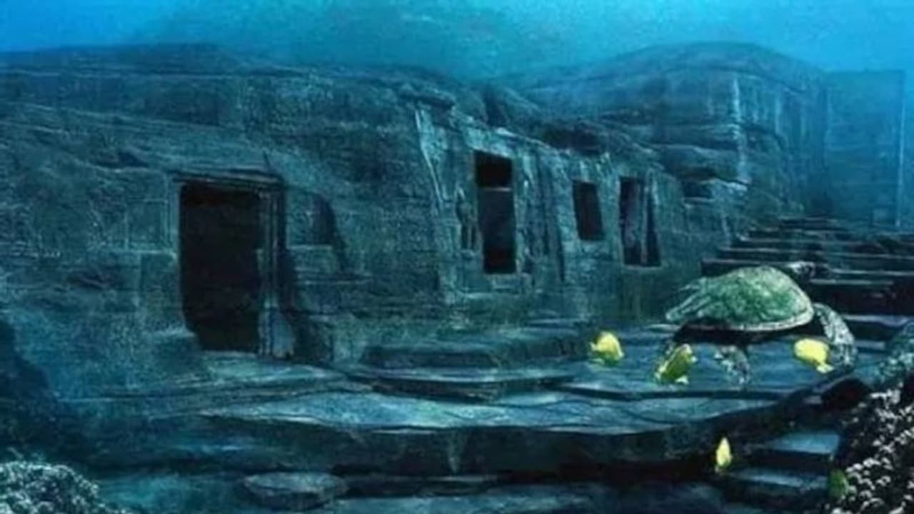 എങ്ങനെ വന്നു സമുദ്രത്തിനടിയിൽ ഇങ്ങനെയൊരു സ്വപ്നലോകം? ആരുകണ്ടാലും അമ്പരക്കും