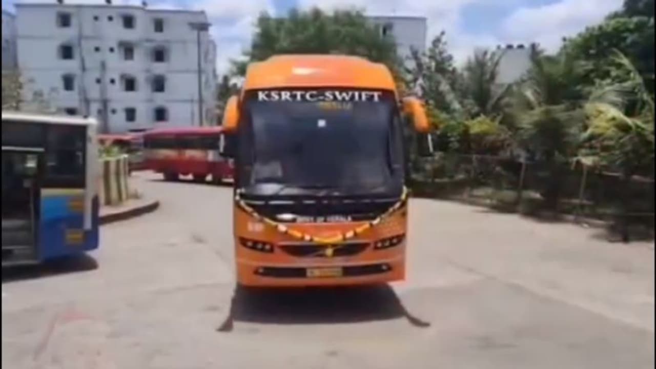 'സ്വകാര്യ ബസ് കൊള്ള': അയല് സംസ്ഥാനങ്ങളിലേക്ക് കൂടുതല് സര്വീസുകള് ആരംഭിച്ച് കെഎസ്ആര്ടിസി 'സ്വകാര്യ ബസ് കൊള്ള': അയല് സംസ്ഥാനങ്ങളിലേക്ക് കൂടുതല് സര്വീസുകള് ആരംഭിച്ച് കെഎസ്ആര്ടിസി