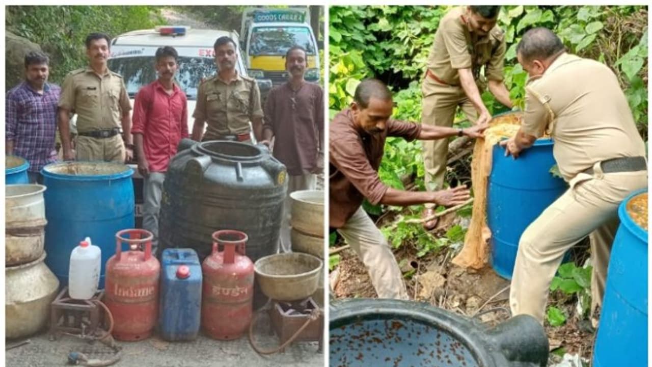കരിഞ്ചോല മലയിൽ വൻ വാറ്റ് കേന്ദ്രം തകർത്തു; 920 ലിറ്റർ വാഷും ചാരായവും പിടികൂടി