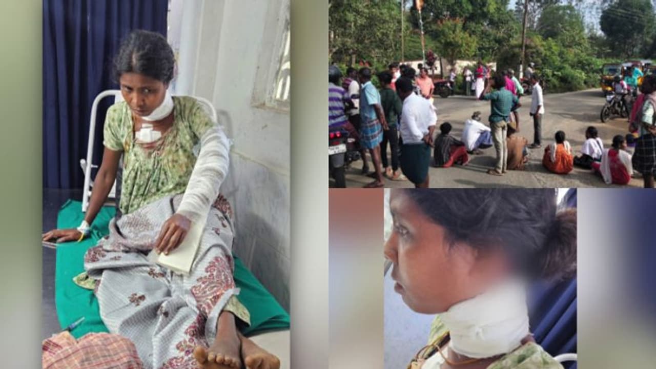 വന്യജീവി ആക്രമണത്തിൽ മൂന്ന് പേർക്ക് പരിക്ക്, രണ്ടാളുടെ നില ഗുരുതരം; പുലിയാണെന്ന് നാട്ടുകാർ, റോഡ് ഉപരോധിച്ചു വന്യജീവി ആക്രമണത്തിൽ മൂന്ന് പേർക്ക് പരിക്ക്, രണ്ടാളുടെ നില ഗുരുതരം; പുലിയാണെന്ന് നാട്ടുകാർ, റോഡ് ഉപരോധിച്ചു