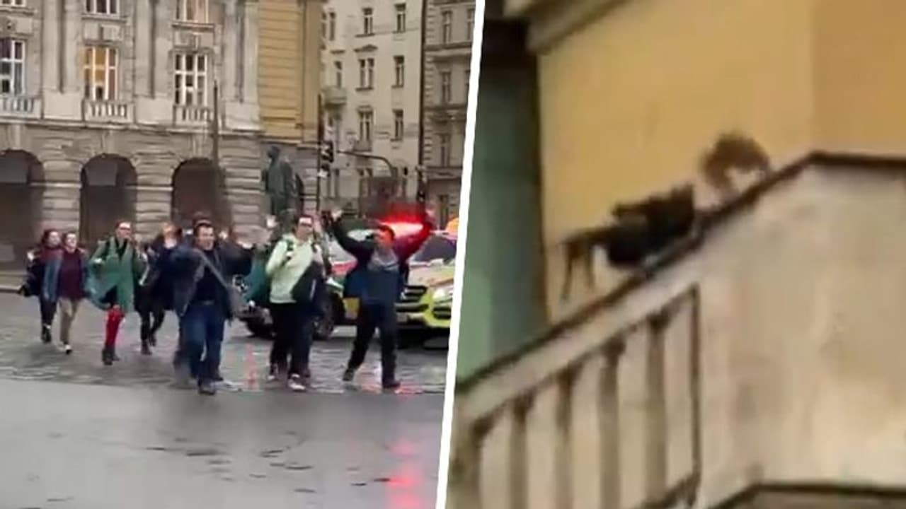 Prague university: Chilling videos of gunman David Kozak, who killed his father before mass shooting, go viral Prague university: Chilling videos of gunman David Kozak, who killed his father before mass shooting, go viral