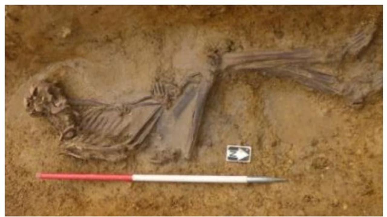 ക്രിസ്തുവിന്റെ സമകാലികന് എന്തിന് അര്മേനിയയില് നിന്നും ബ്രിട്ടനിലെത്തി? ദുരൂഹതയുടെ കുരുക്കഴിച്ച് ഗവേഷകര് ക്രിസ്തുവിന്റെ സമകാലികന് എന്തിന് അര്മേനിയയില് നിന്നും ബ്രിട്ടനിലെത്തി? ദുരൂഹതയുടെ കുരുക്കഴിച്ച് ഗവേഷകര്