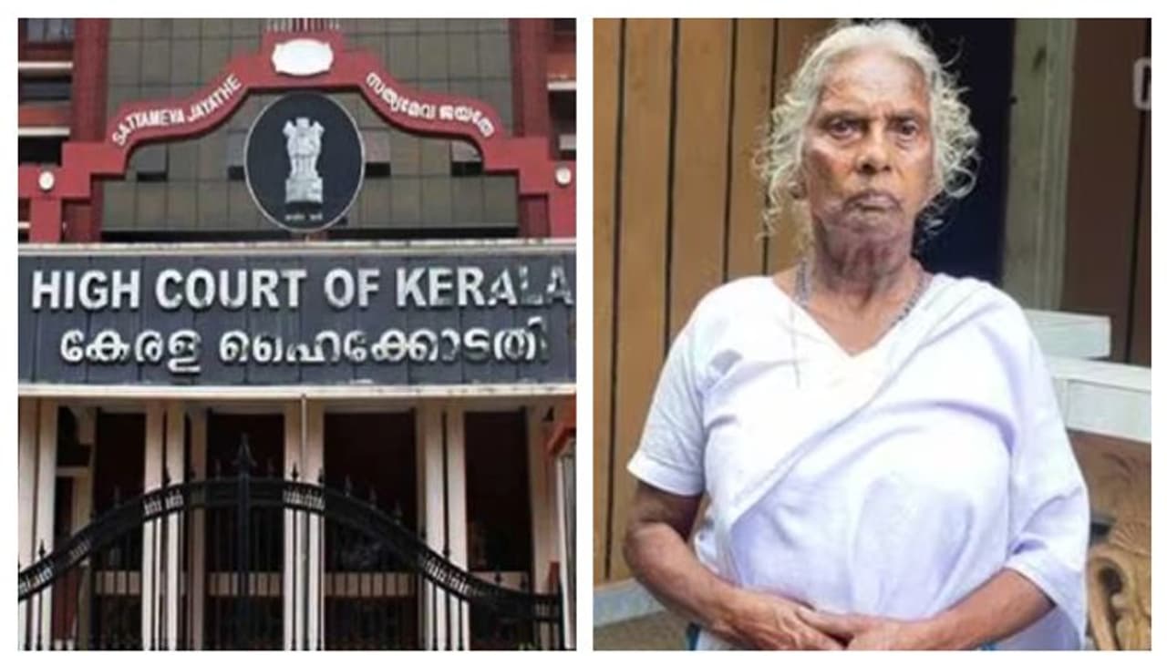 ഹർജി രാഷ്ട്രീയ പ്രേരിതമെന്ന സർക്കാർ വാദം; ഹർജിക്കാരിയെ അപഹസിച്ചത് ഹൃദയഭേദകമെന്ന് ഹൈക്കോടതി, പിൻവലിച്ച് സർക്കാർ