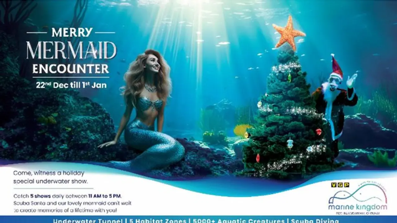 Merry Mermaid Encounter Show Splashes into VGP Marine Kingdom This Holiday Season 