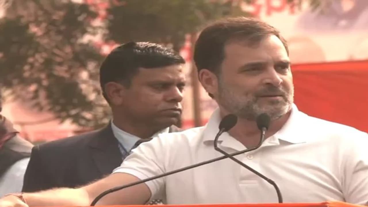 நாடாளுமன்றத் தாக்குதலின்போது பாஜக எம்.பி.க்கள் ஓடிவிட்டனர்: ராகுல் காந்தி! நாடாளுமன்றத் தாக்குதலின்போது பாஜக எம்.பி.க்கள் ஓடிவிட்டனர்: ராகுல் காந்தி!