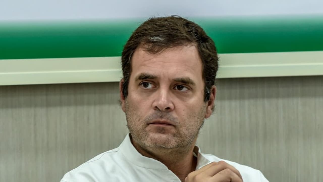 'കേരളത്തെ കണ്ട് മാതൃകയാക്കണം'; മറ്റ് സംസ്ഥാനങ്ങളോട് രാഹുൽ ഗാന്ധി, യൂത്ത് കോൺഗ്രസിന് അഭിനന്ദനം