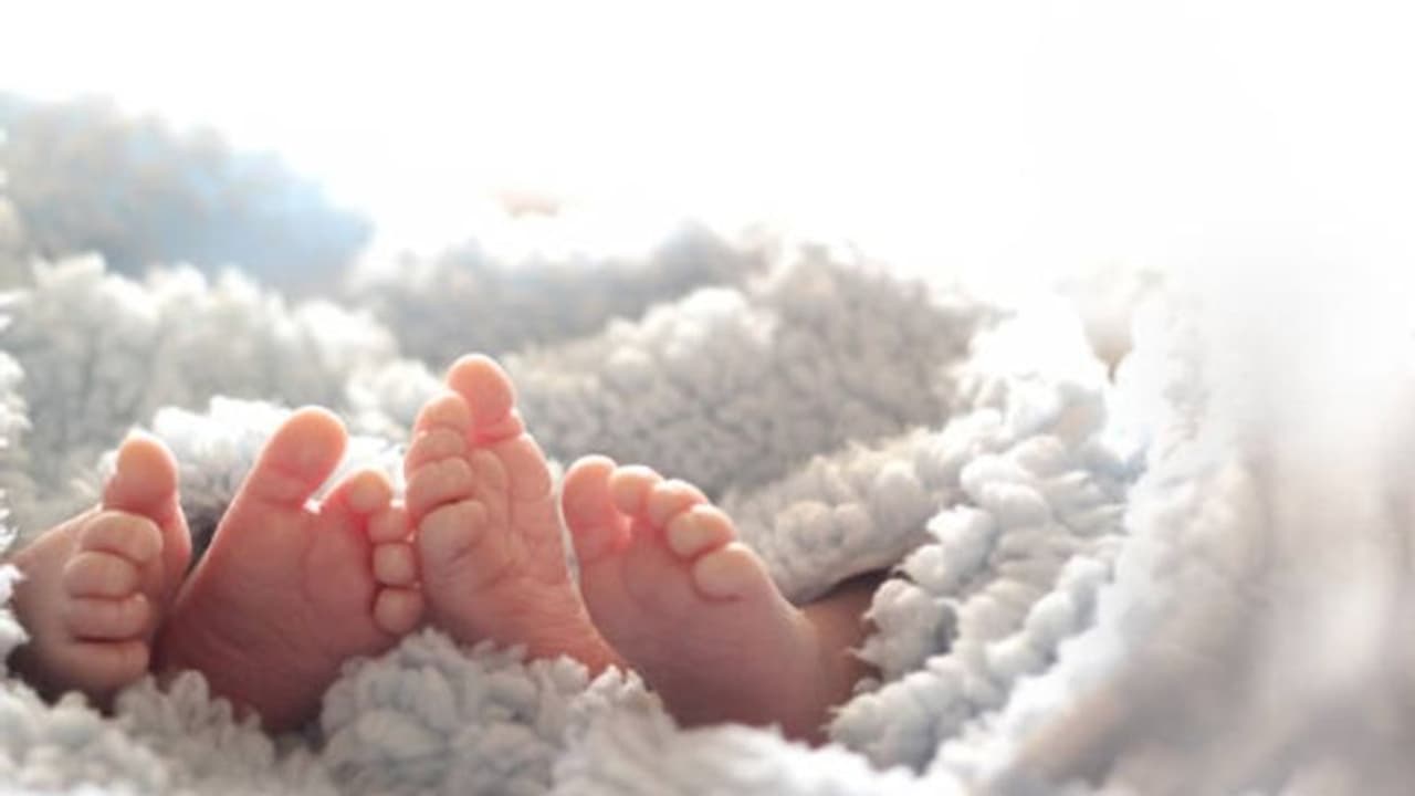 ട്രെൻഡിന് പിന്നാലെ പോയി 'വൈൽഡ് ബർത്ത്' തിരഞ്ഞെടുത്ത് യുവ ദമ്പതികൾ, ഇരട്ടകുഞ്ഞുങ്ങൾക്ക് ദാരുണാന്ത്യം ട്രെൻഡിന് പിന്നാലെ പോയി 'വൈൽഡ് ബർത്ത്' തിരഞ്ഞെടുത്ത് യുവ ദമ്പതികൾ, ഇരട്ടകുഞ്ഞുങ്ങൾക്ക് ദാരുണാന്ത്യം