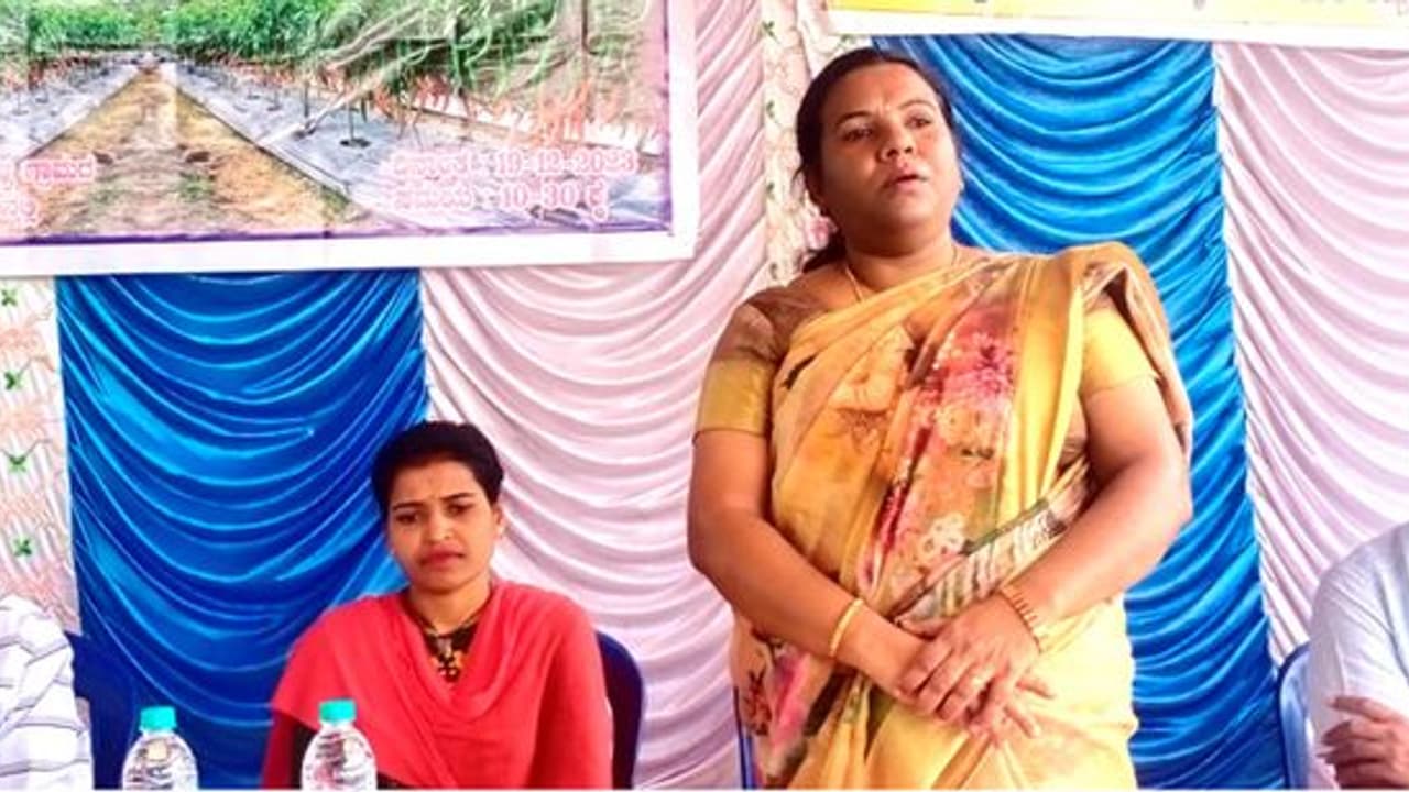 ಮೈಸೂರು : ಮೆಣಸಿನಕಾಯಿ ಬೆಳೆ ಬೇಸಾಯದ ಕ್ಷೇತ್ರೋತ್ಸವ ಮೈಸೂರು : ಮೆಣಸಿನಕಾಯಿ ಬೆಳೆ ಬೇಸಾಯದ ಕ್ಷೇತ್ರೋತ್ಸವ