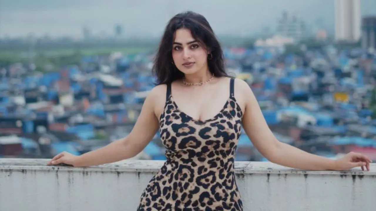 Bigg Boss 17: Who is Ayesha Khan? All you need to know about the show's wildcard contestant 