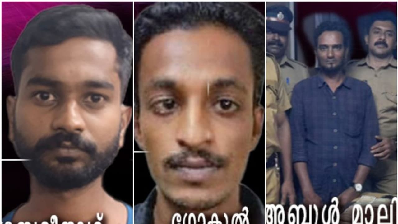 'ആര്യങ്കാവ് ചെക്പോസ്റ്റിൽ ഒരു അണ്ണനും തൃശൂരിൽ 2 ഗ‍ഡികളും പിടിയിലായിട്ടുണ്ട്'; എക്സൈസ് സ്‌പെഷ്യൽ ഡ്രൈവ്