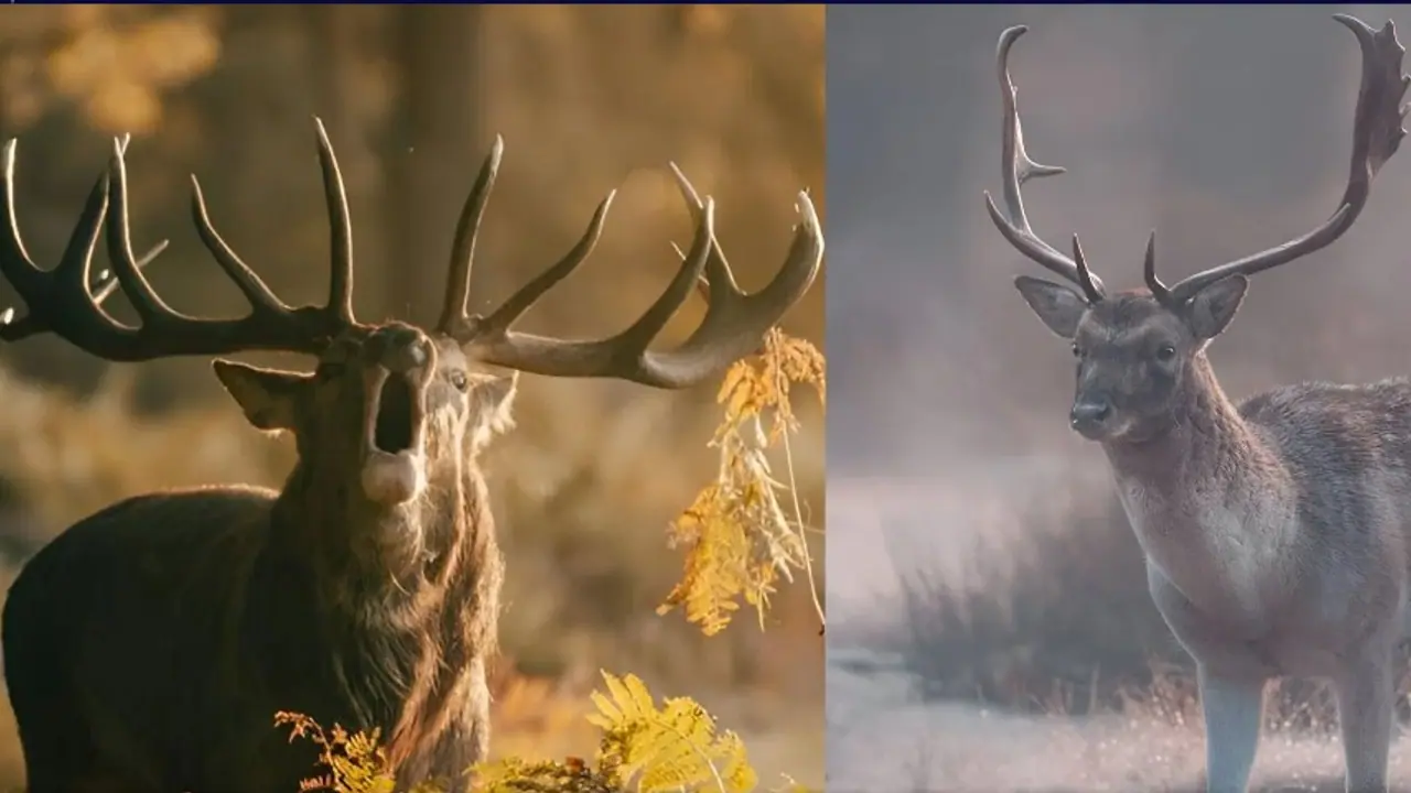 ಜಗತ್ತಿಗೆ ಹರಡುತ್ತಾ ಮತ್ತೊಂದು ಸಾಂಕ್ರಾಮಿಕ? ಈ ಪ್ರಾಣಿಯ ಮಾಂಸ ತಿಂದ್ರೆ ಹುಷಾರ್! ವಿಜ್ಞಾನಿಗಳ ಎಚ್ಚರಿಕೆ ಜಗತ್ತಿಗೆ ಹರಡುತ್ತಾ ಮತ್ತೊಂದು ಸಾಂಕ್ರಾಮಿಕ? ಈ ಪ್ರಾಣಿಯ ಮಾಂಸ ತಿಂದ್ರೆ ಹುಷಾರ್! ವಿಜ್ಞಾನಿಗಳ ಎಚ್ಚರಿಕೆ