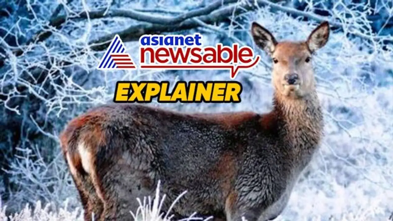 What is Prion disease? Can 'Zombie Deer disease' affect humans? What are its symptoms? What is Prion disease? Can 'Zombie Deer disease' affect humans? What are its symptoms?