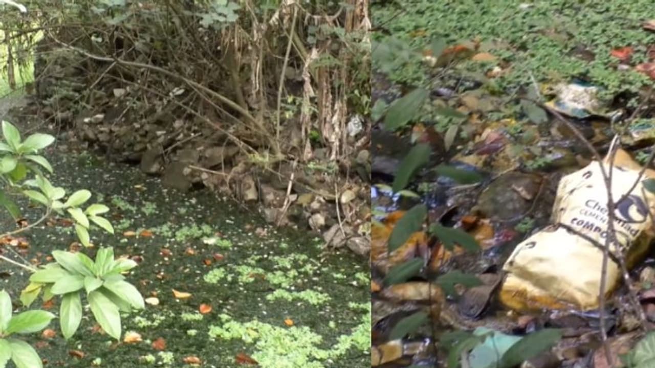 തിരുവൻവണ്ടൂരിലെ മുളന്തോട്ടിൽ മാലിന്യവും ചത്ത ജന്തുക്കളെയും തള്ളുന്നു, പ്രദേശമാകെ ദുർഗന്ധം തിരുവൻവണ്ടൂരിലെ മുളന്തോട്ടിൽ മാലിന്യവും ചത്ത ജന്തുക്കളെയും തള്ളുന്നു, പ്രദേശമാകെ ദുർഗന്ധം