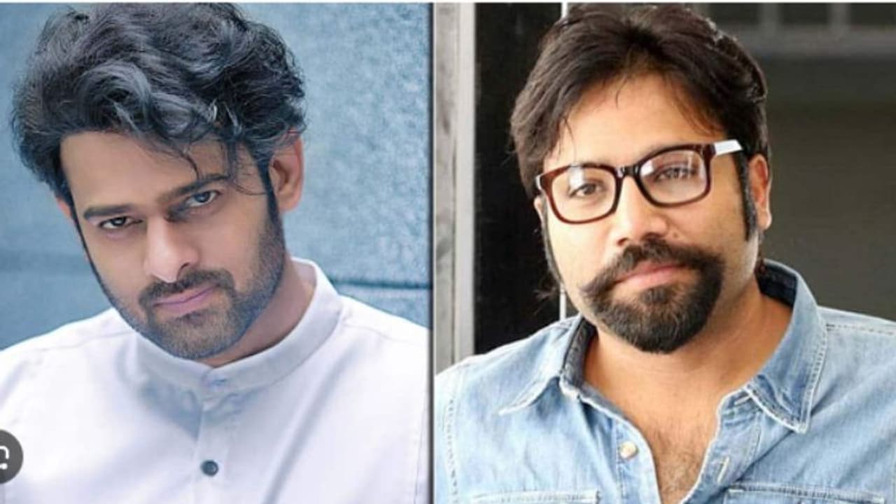 సందీప్ రెడ్డి వంగా మామూలోడు కాదు.. ప్రభాస్ కోసం ఇంటర్నేషనల్ స్టార్..? సందీప్ రెడ్డి వంగా మామూలోడు కాదు.. ప్రభాస్ కోసం ఇంటర్నేషనల్ స్టార్..?