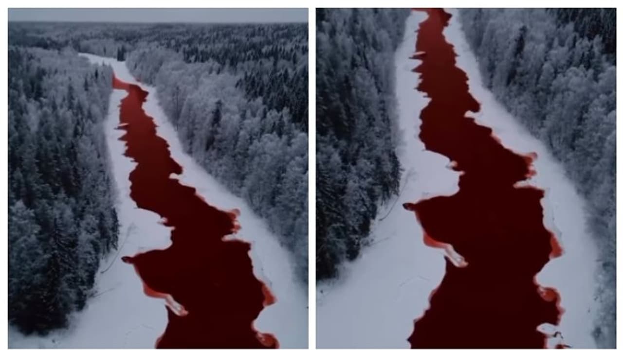  ഇതെന്ത് മറിമായം? റഷ്യയിലെ ഇസ്കിറ്റിംക നദിയിലെ ജലത്തിന് രക്ത നിറം, അമ്പരന്ന് സോഷ്യല്‍ മീഡിയ !