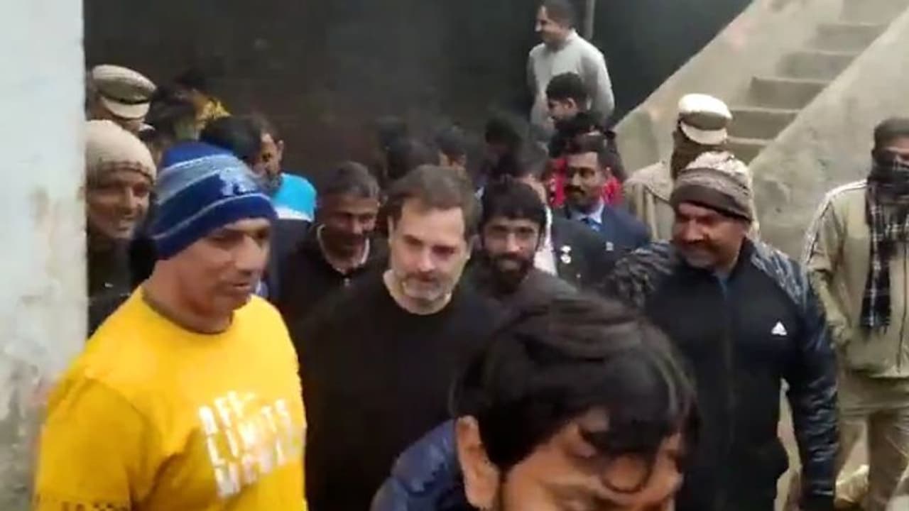 Rahul Gandhi meets wrestlers, including Bajrang Punia in Haryana amid row over WFI suspension Rahul Gandhi meets wrestlers, including Bajrang Punia in Haryana amid row over WFI suspension