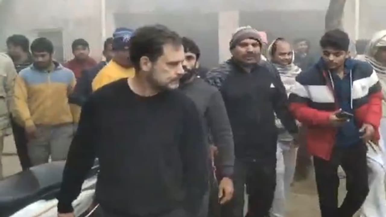 இந்திய மல்யுத்த கூட்டமைப்பு சர்ச்சை: மல்யுத்த வீரர்களை சந்தித்த ராகுல் காந்தி! இந்திய மல்யுத்த கூட்டமைப்பு சர்ச்சை: மல்யுத்த வீரர்களை சந்தித்த ராகுல் காந்தி!