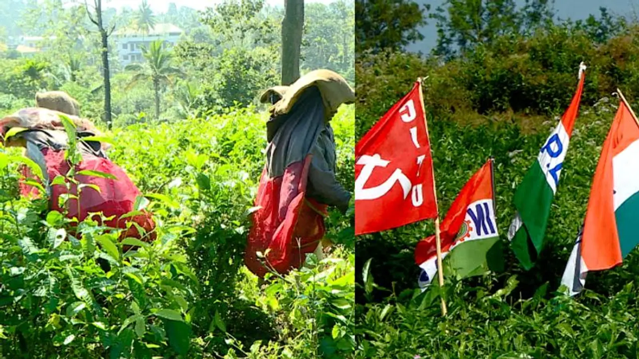 Kerala News Highlights: Estate workers protest as salary delayed for five months in Wayanad Kerala News Highlights: Estate workers protest as salary delayed for five months in Wayanad