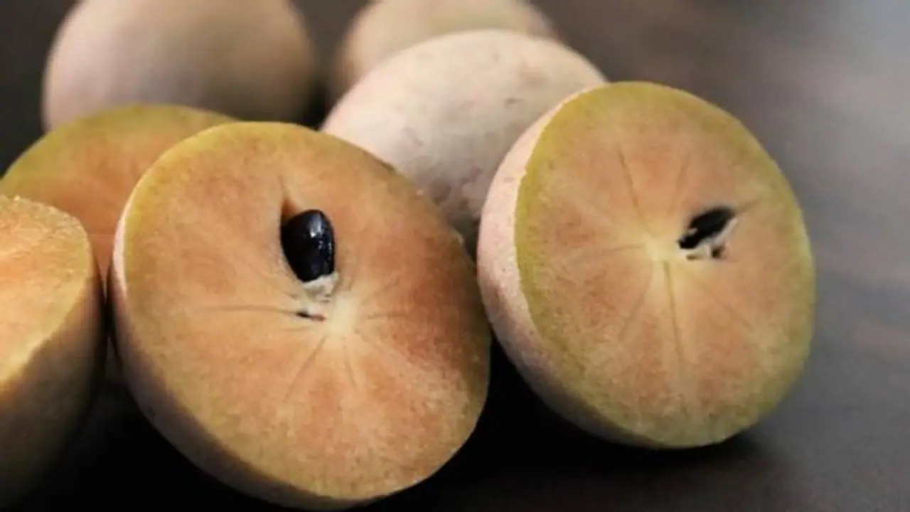 സപ്പോട്ട കഴിക്കാൻ ഇഷ്ടമാണോ? അറിയാം സപ്പോട്ട കഴിക്കുന്നത് കൊണ്ടുള്ള ഗുണങ്ങള്... സപ്പോട്ട കഴിക്കാൻ ഇഷ്ടമാണോ? അറിയാം സപ്പോട്ട കഴിക്കുന്നത് കൊണ്ടുള്ള ഗുണങ്ങള്...