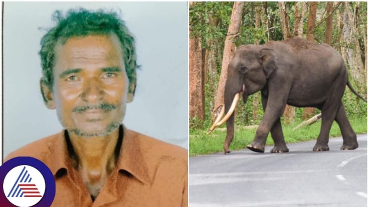 ಡಿಸಿಎಂ ಡಿ.ಕೆ.ಶಿವಕುಮಾರ್ ತವರಲ್ಲಿ ಕಾಡಾನೆ ದಾಳಿಗೆ ಮತ್ತೊಬ್ಬ ರೈತನ ಬಲಿ! ಡಿಸಿಎಂ ಡಿ.ಕೆ.ಶಿವಕುಮಾರ್ ತವರಲ್ಲಿ ಕಾಡಾನೆ ದಾಳಿಗೆ ಮತ್ತೊಬ್ಬ ರೈತನ ಬಲಿ!