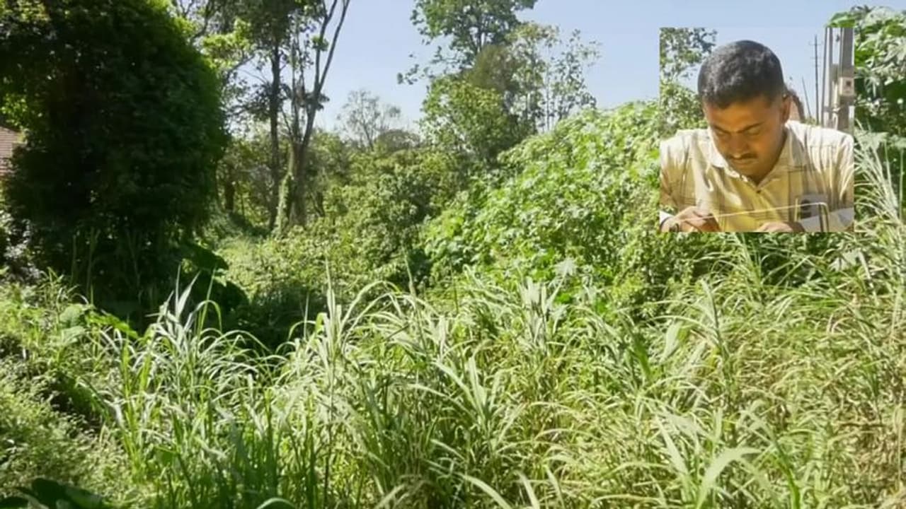 ಪ್ರಮುಖ ರಾಜಕೀಯ ನಾಯಕರಿಂದ ರಕ್ಷಿತಾರಣ್ಯ ಒತ್ತುವರಿ: ಸುಪ್ರೀಂಕೋರ್ಟಿಗೆ ಮೇಲ್ಮನವಿ ಸಲ್ಲಿಸಿದ ರವಿಚಂಗಪ್ಪ