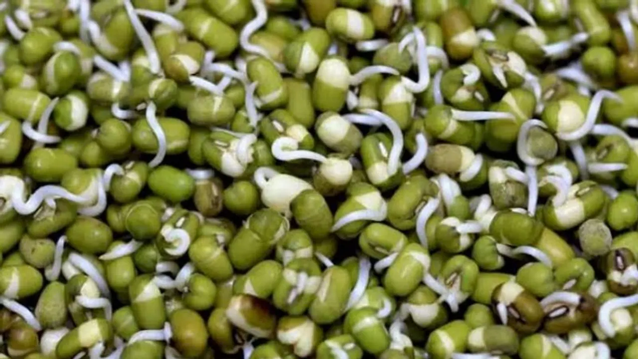 ദിവസവും മുളപ്പിച്ച പയർ കഴിക്കൂ; അറിയാം ഈ ഗുണങ്ങള്... ദിവസവും മുളപ്പിച്ച പയർ കഴിക്കൂ; അറിയാം ഈ ഗുണങ്ങള്...