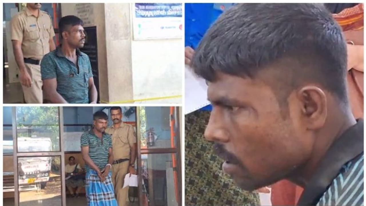 പെരുമ്പാവൂരിലെ കെഎസ്ഇബി യാർഡിൽ മോഷണം; ബംഗാൾ സ്വദേശി പിടിയിൽ