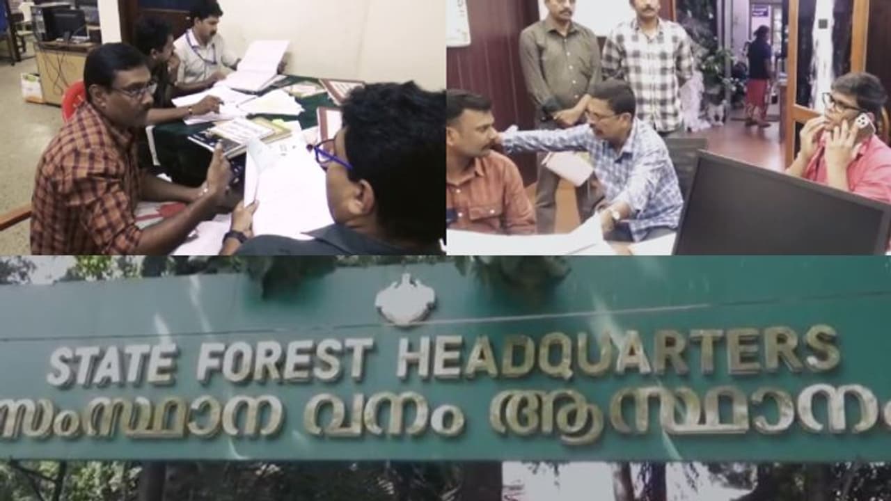  കാടുകയറി 'ജംഗിൾ സഫാരി' നടത്തി വിജിലൻസ്, വെറുതെ ആയില്ല; ഗൂഗിൾ പേ ഇടപാട്, പാർക്കിങ് ഫീയിലും വരെ ക്രമക്കേട്