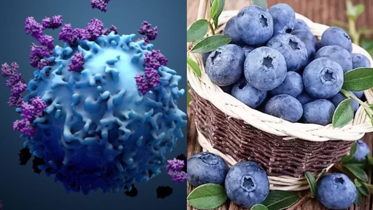 Health Tips: ക്യാന്സര് സാധ്യത കുറയ്ക്കുന്ന അഞ്ച് പഴങ്ങള്... Health Tips: ക്യാന്സര് സാധ്യത കുറയ്ക്കുന്ന അഞ്ച് പഴങ്ങള്...