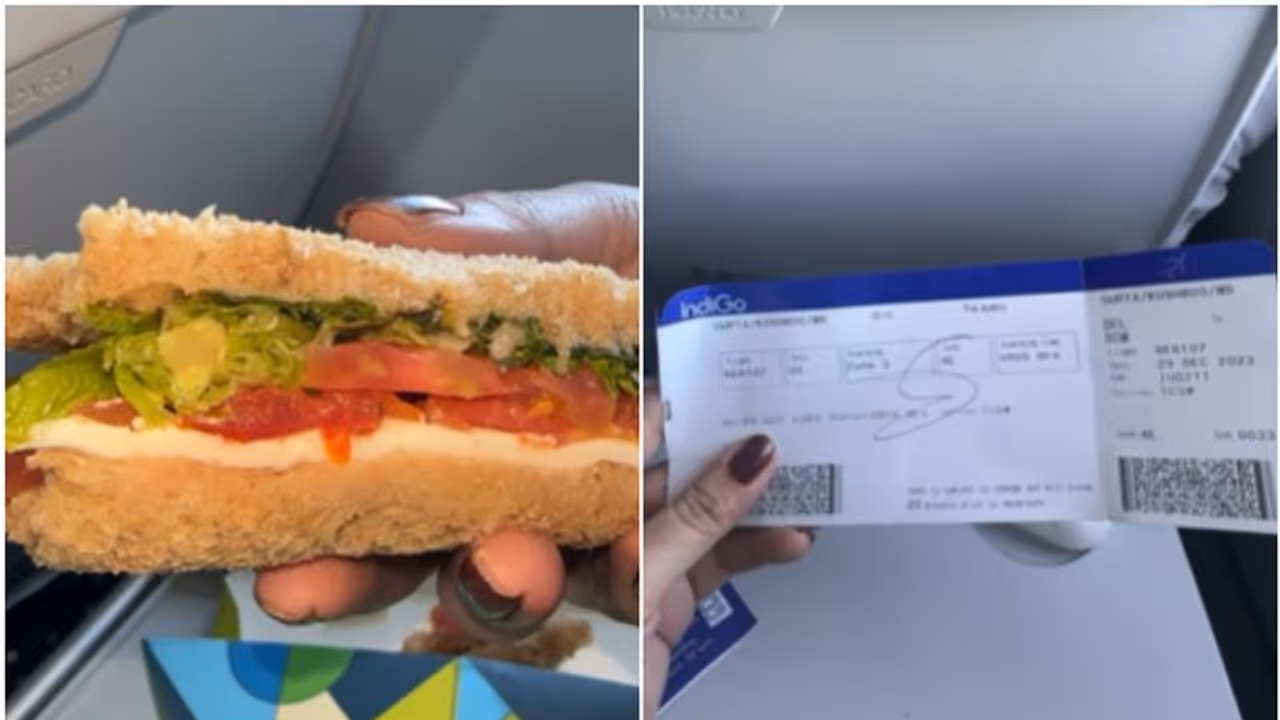 'വിമാനത്തിൽ വിളമ്പിയ സാന്‍ഡ്‍വിച്ചിൽ പുഴു, ജീവനക്കാരെ അറിയിച്ചിട്ടും വിതരണം തുടർന്നു'; മാപ്പ് പറഞ്ഞ് ഇൻഡിഗോ
