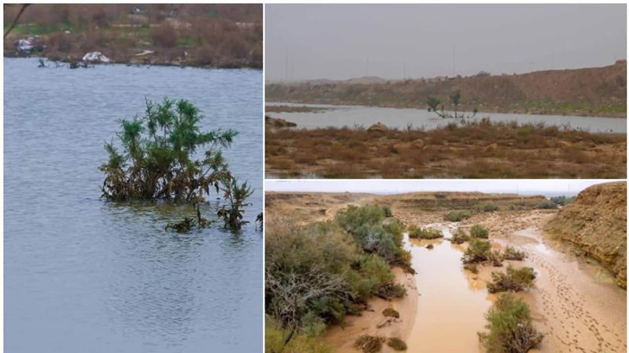 സൗദി അറേബ്യയിൽ മഴയും മഞ്ഞുവീഴ്ചയും തുടരുന്നു സൗദി അറേബ്യയിൽ മഴയും മഞ്ഞുവീഴ്ചയും തുടരുന്നു