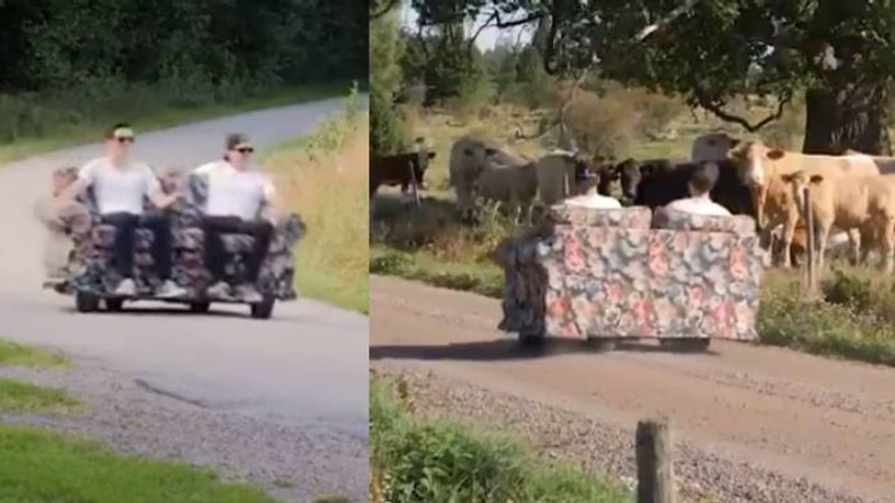 റോഡിലൂടെ കുതിച്ചു പായുന്ന സോഫ, ഇന്ത്യയിലിത് രജിസ്റ്റർ ചെയ്യാൻ പോയാൽ എന്താവും അവസ്ഥ? 