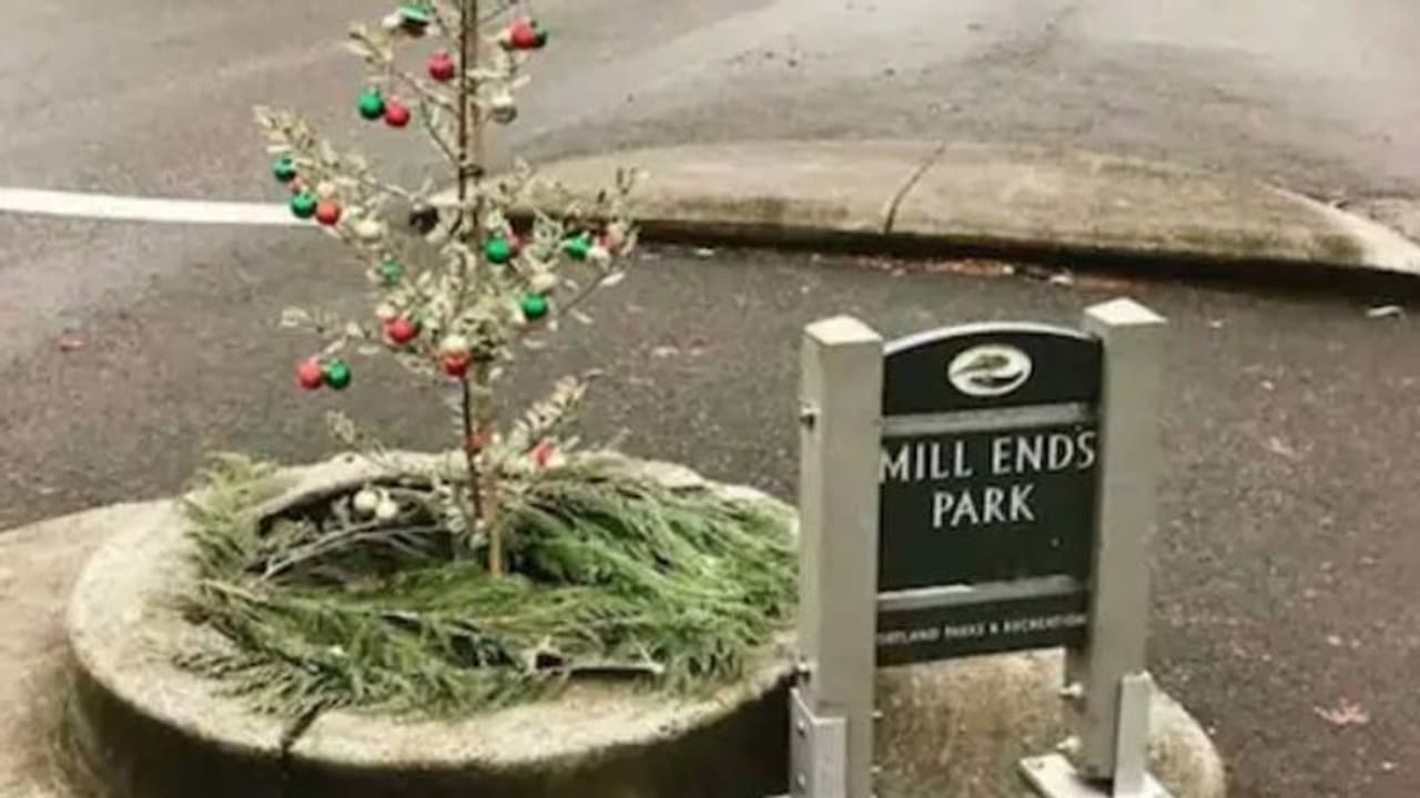 ഒന്ന് സ്വസ്ഥമായിരിക്കാൻ പോലും പറ്റില്ല, ഇതങ്ങനെയൊരു പാർക്ക്, ഇത്തിരിക്കുഞ്ഞൻ പാർക്കിന്റെ വിശേഷങ്ങളറിയാം ഒന്ന് സ്വസ്ഥമായിരിക്കാൻ പോലും പറ്റില്ല, ഇതങ്ങനെയൊരു പാർക്ക്, ഇത്തിരിക്കുഞ്ഞൻ പാർക്കിന്റെ വിശേഷങ്ങളറിയാം