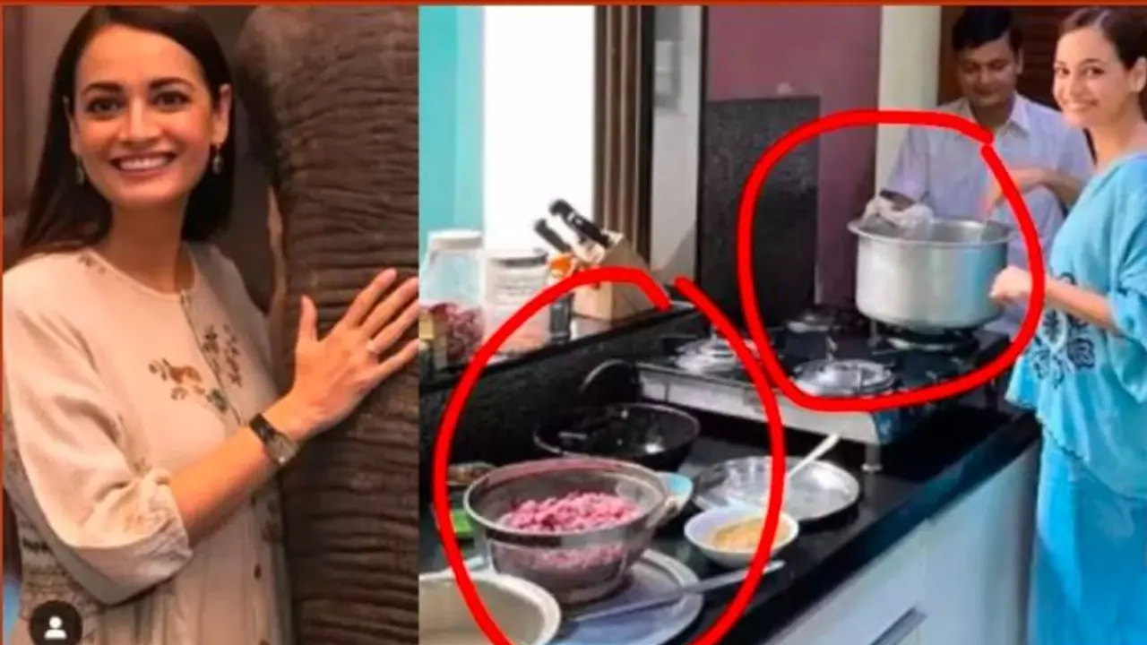 ಪೇಟಾ ಕೊಟ್ಟ ಪ್ರಶಸ್ತಿ ಜೊತೆ ಜೊತೆಗೆ ವೈರಲ್ ಆಯ್ತು ದಿಯಾ ಮಿರ್ಜಾರ ಮಾಂಸದೂಟ ಪೇಟಾ ಕೊಟ್ಟ ಪ್ರಶಸ್ತಿ ಜೊತೆ ಜೊತೆಗೆ ವೈರಲ್ ಆಯ್ತು ದಿಯಾ ಮಿರ್ಜಾರ ಮಾಂಸದೂಟ