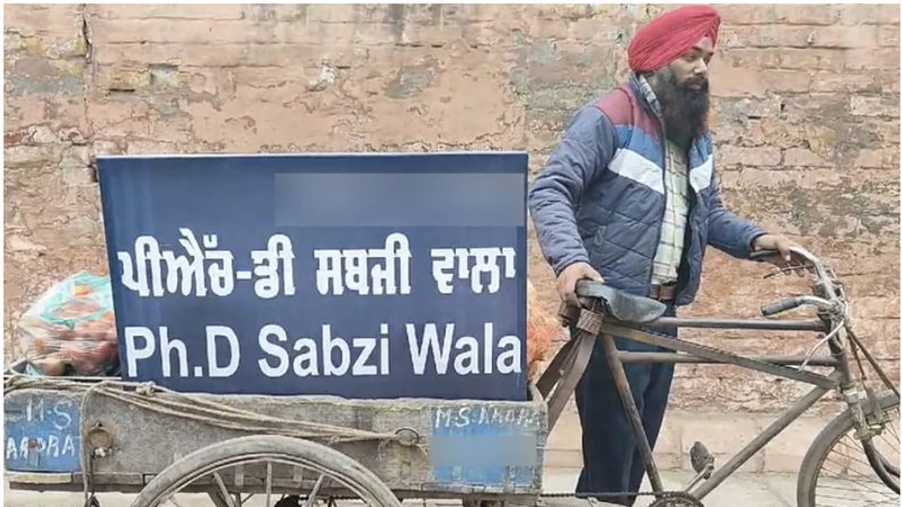 നാല് ബിരുദാനന്തര ബിരുദം, പിഎച്ച്ഡി, പക്ഷേ ജീവിക്കണമെങ്കിൽ പച്ചക്കറി വിൽക്കണം, യുവാവിന്റെ ജീവിതം ! നാല് ബിരുദാനന്തര ബിരുദം, പിഎച്ച്ഡി, പക്ഷേ ജീവിക്കണമെങ്കിൽ പച്ചക്കറി വിൽക്കണം, യുവാവിന്റെ ജീവിതം !