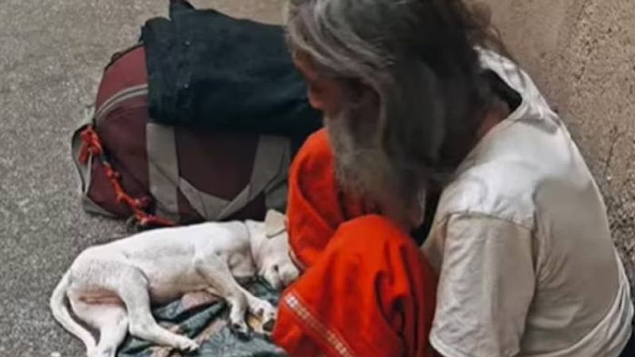 പണമുണ്ടായിട്ടെന്താ കാര്യം, നല്ല മനസില്ലെങ്കിൽ? ഞാൻ കഴിച്ചില്ലെങ്കിലും നായക്കുട്ടിയെ ഊട്ടുമെന്ന് ബാബാജി പണമുണ്ടായിട്ടെന്താ കാര്യം, നല്ല മനസില്ലെങ്കിൽ? ഞാൻ കഴിച്ചില്ലെങ്കിലും നായക്കുട്ടിയെ ഊട്ടുമെന്ന് ബാബാജി