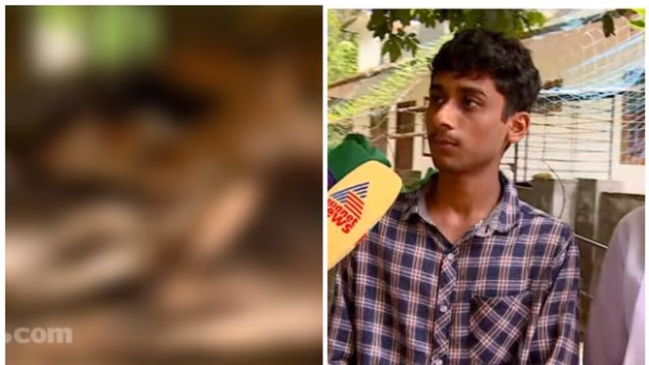 നെഞ്ചുപൊട്ടി കുട്ടിക്കർഷകർ: തൊടുപുഴ വെളളിയാമറ്റത്ത് 13 പശുക്കൾ ചത്തു, കപ്പത്തൊണ്ട് കഴിച്ചതാണെന്ന് സംശയം