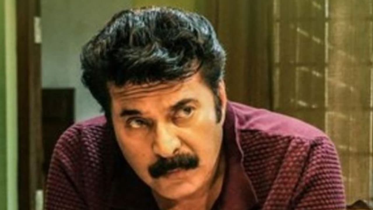 ഇത് വിസ്മയിപ്പിക്കുന്ന നേട്ടം, മമ്മൂട്ടി ചിത്രം കാതല് ചരിത്രം കുറിക്കുന്നു, ആ സന്തോഷ വാര്ത്ത പുറത്ത് ഇത് വിസ്മയിപ്പിക്കുന്ന നേട്ടം, മമ്മൂട്ടി ചിത്രം കാതല് ചരിത്രം കുറിക്കുന്നു, ആ സന്തോഷ വാര്ത്ത പുറത്ത്